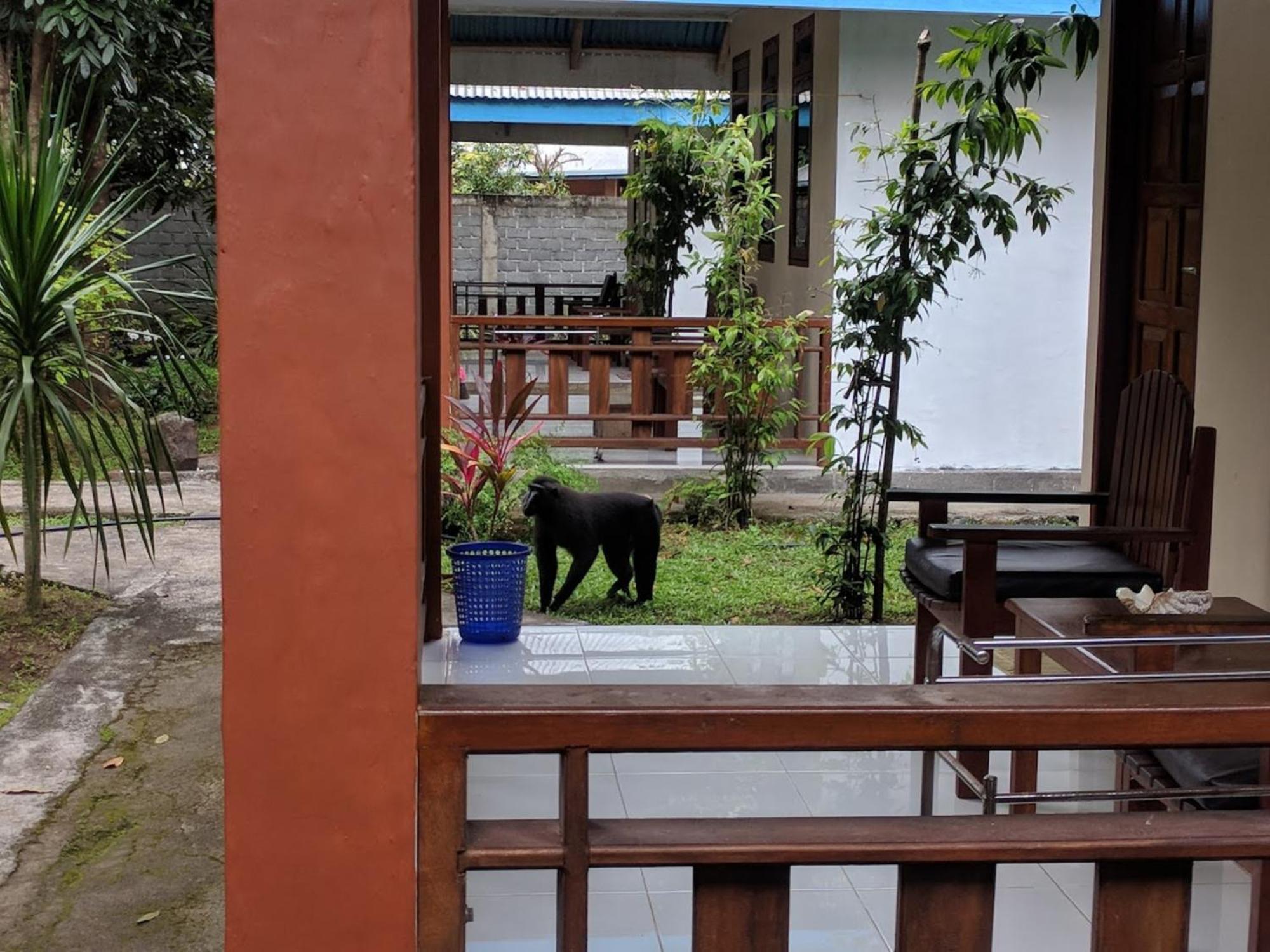 Hotel Tangkoko Macaca Rinondoran Exterior foto