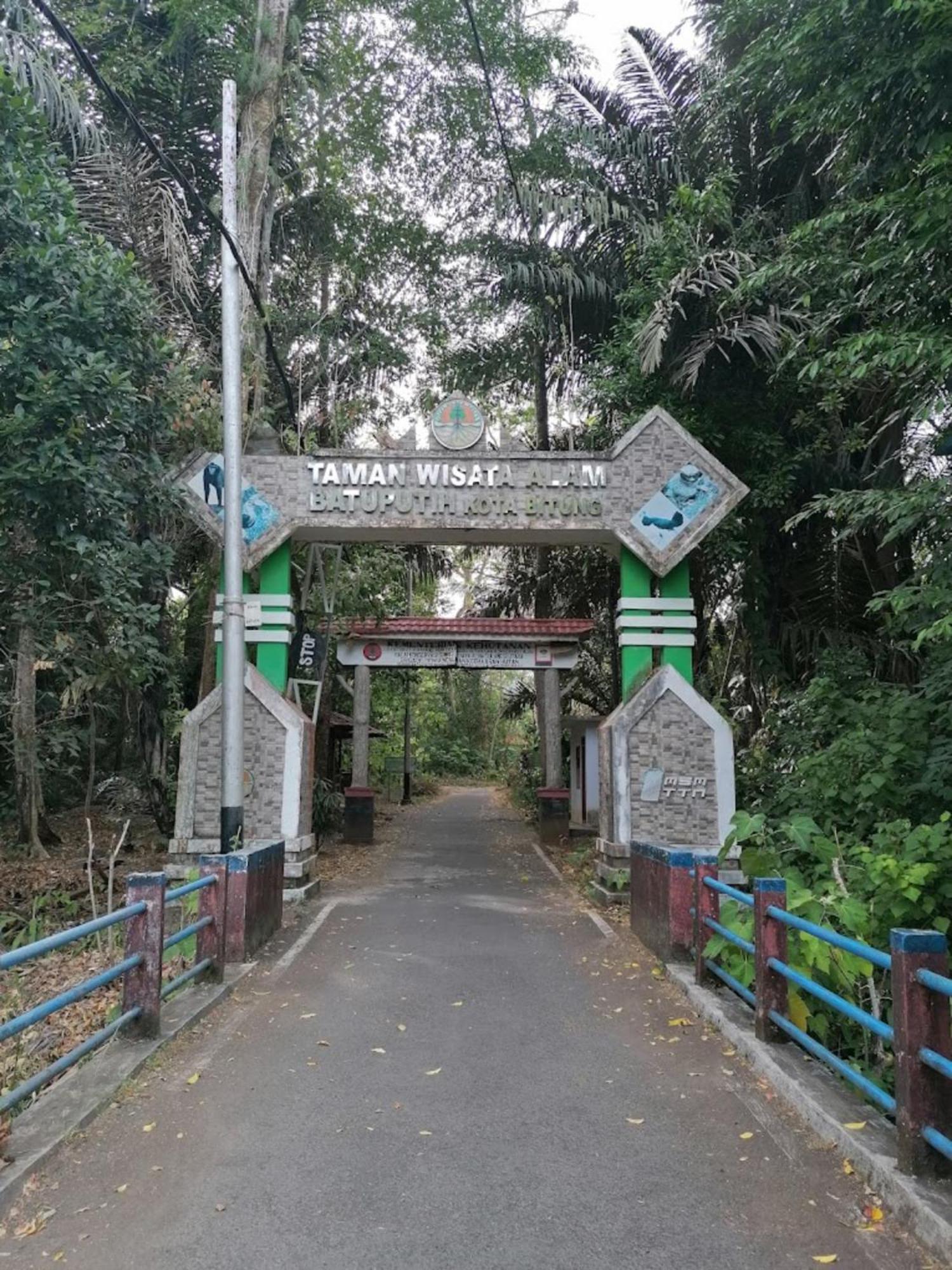 Hotel Tangkoko Macaca Rinondoran Exterior foto